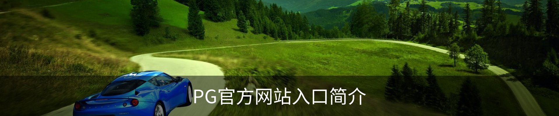 PG官方网站入口简介